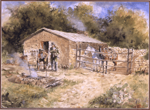 Coopers Ranch
